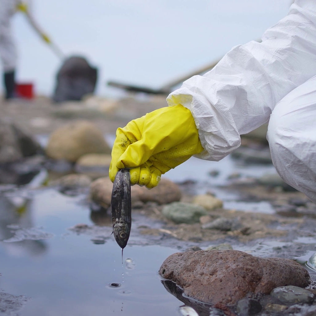 Marpol Training MARPOL: Maritime Pollution Training for Vessel Crew – Moxie Training