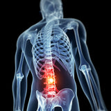Step Back for Safety Series: Back Safety