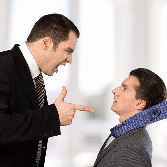 Bullying & Other Disruptive Behavior for Employees