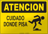 Caution: Watch Your Step Spanish Sign